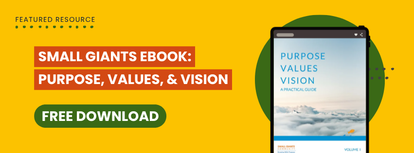 Purpose, Values, Vision ebook